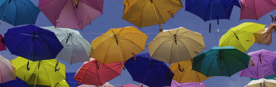 Why do I need Liability Insurance?